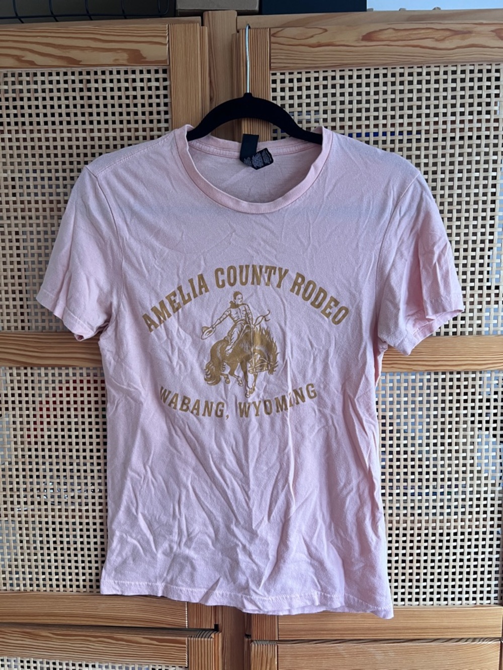 OUTER RANGE SEASON 1 Genuine Crew T-Shirt Amelia County Rodeo Pink Unisex Tee
